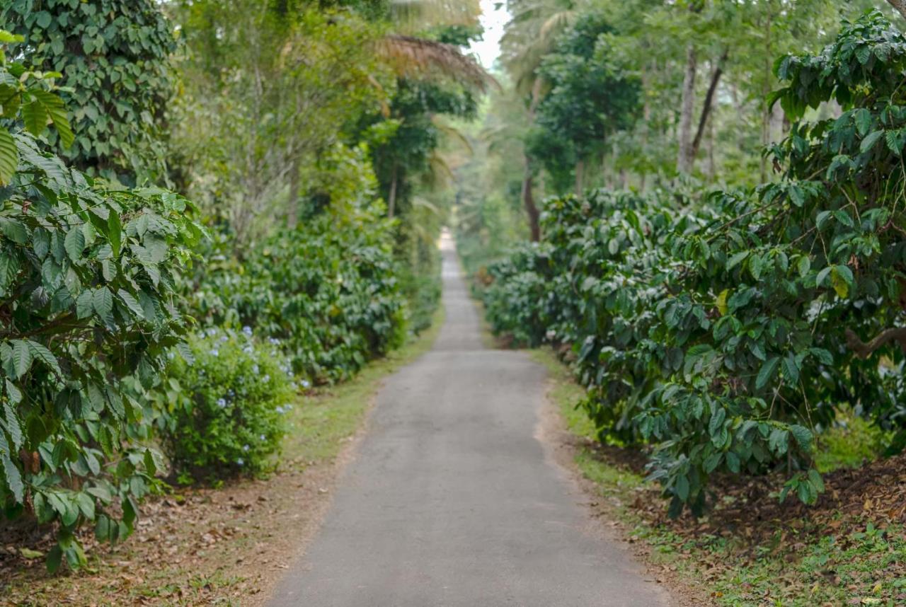 Belvilla The School Estate- Luxury Heritage Home In 200 Acres Madikeri Exteriér fotografie