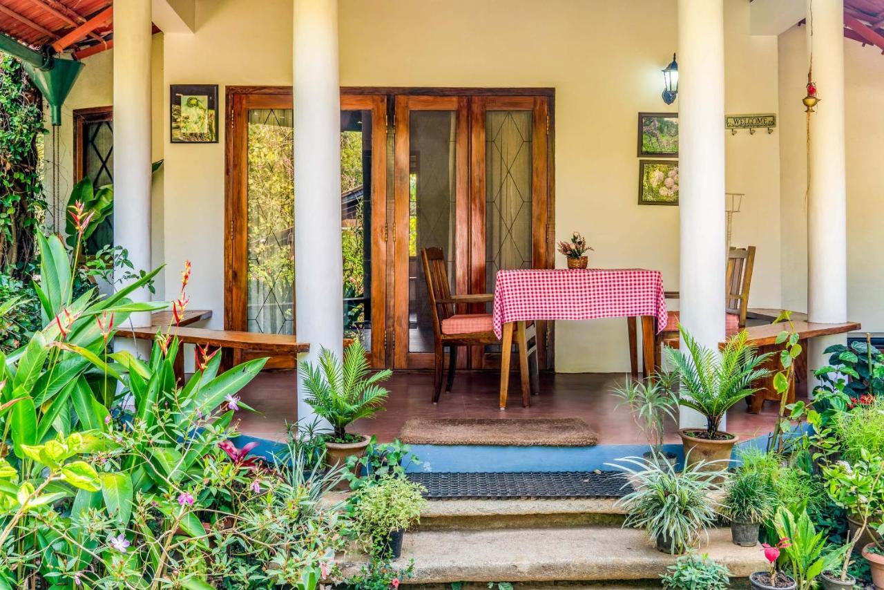 Belvilla The School Estate- Luxury Heritage Home In 200 Acres Madikeri Exteriér fotografie
